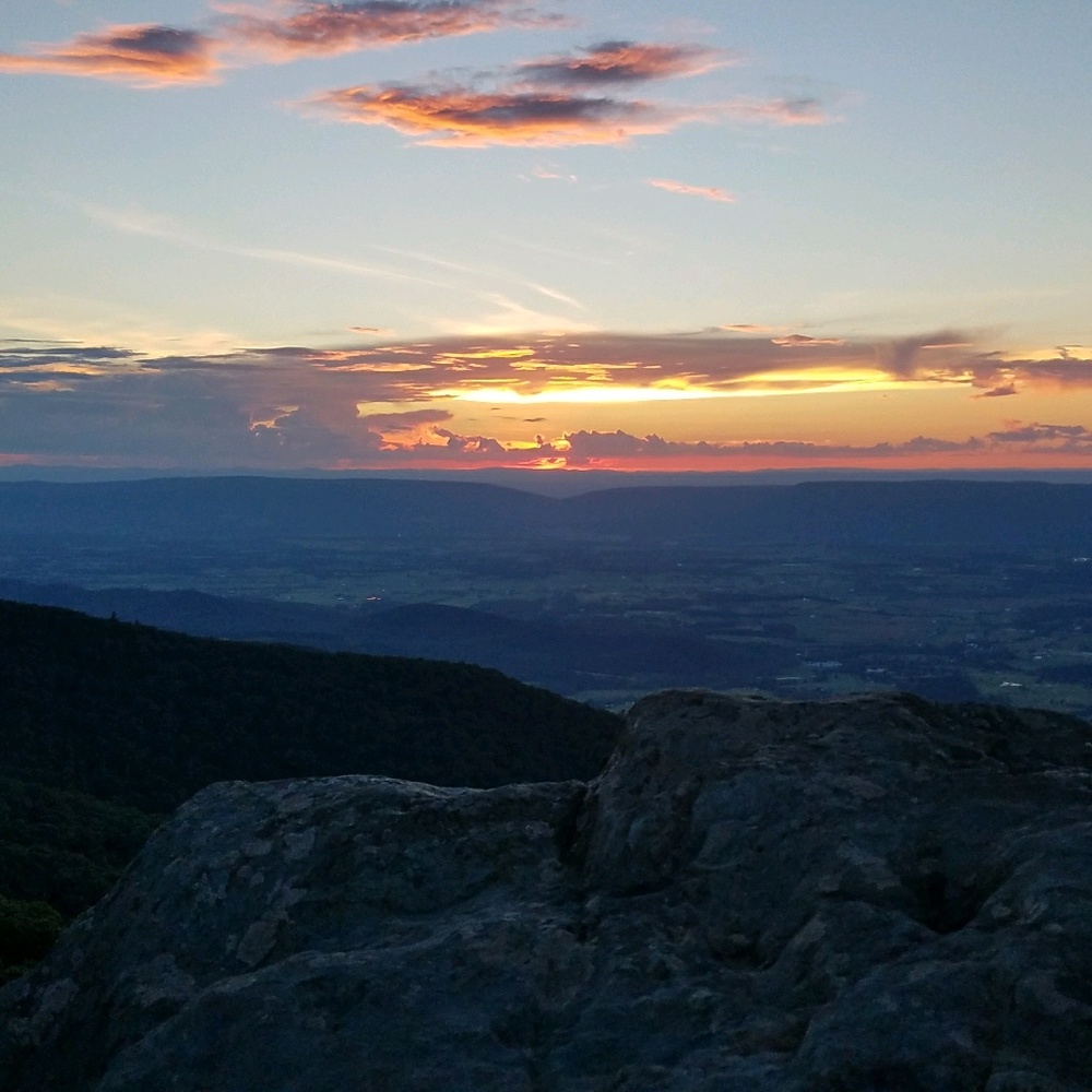 Meet your Posher, Shelby